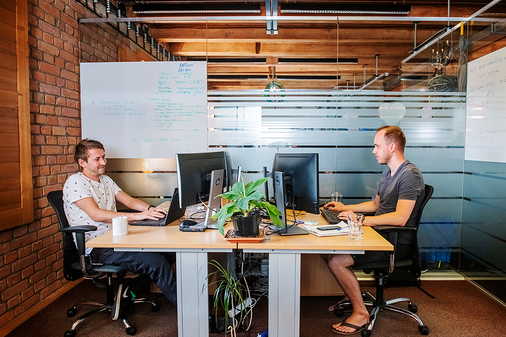 LEAD DEVELOPER